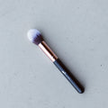 FRID Brush Setting