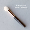 FRID Brush All Arond