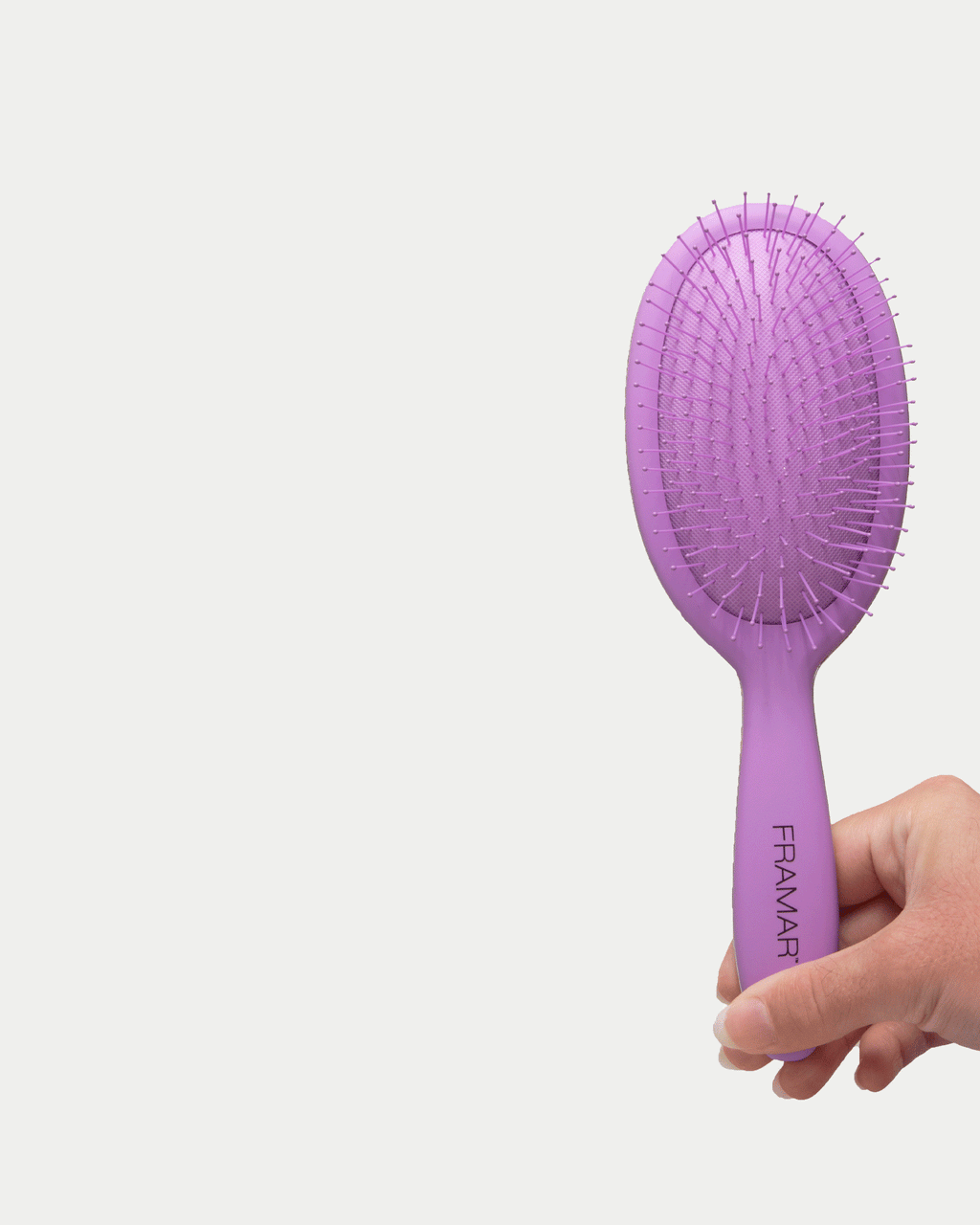 Detangler Brush Purple