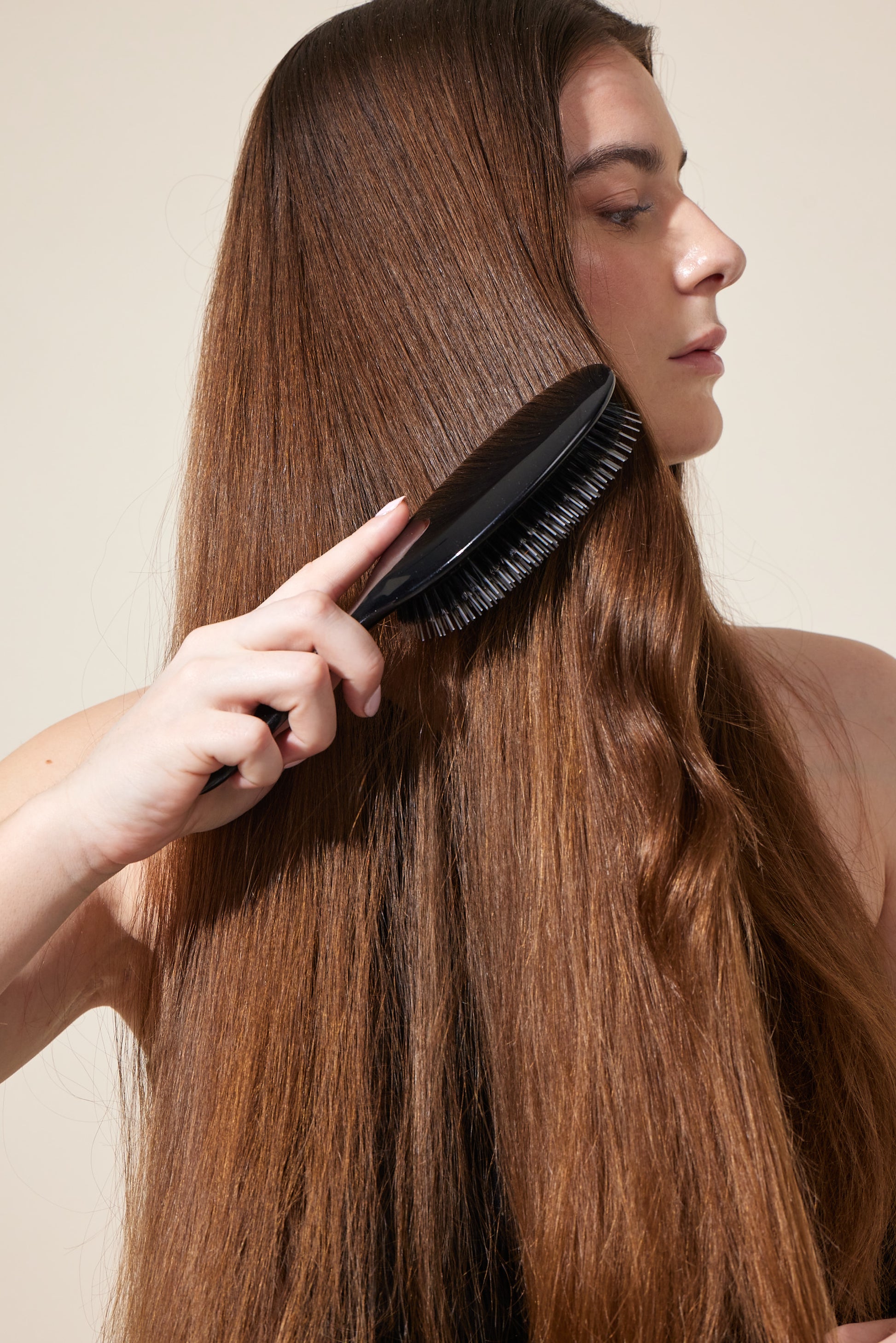 Villsvin Large Stardust