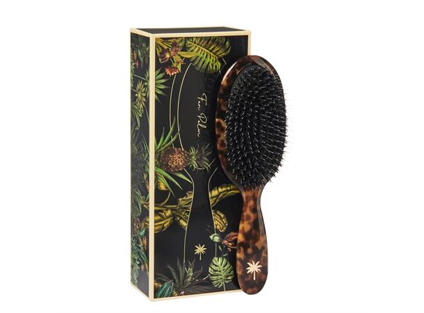 Villsvin Medium Turtle